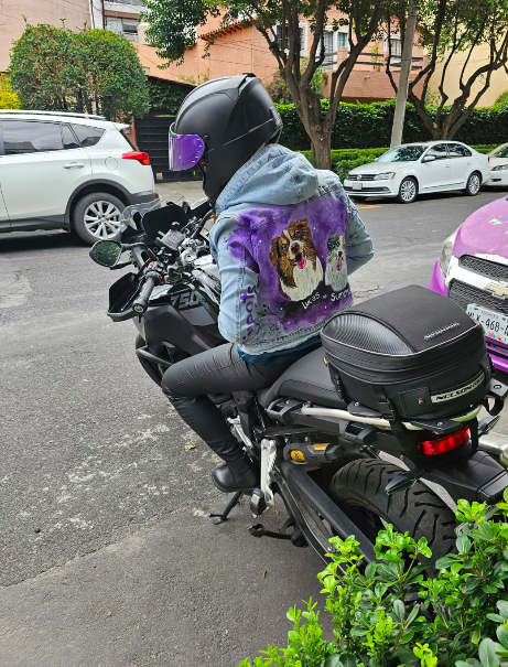 Retrato de dos perritos pintados a mano en chamarra de mezclilla diseño juliepots