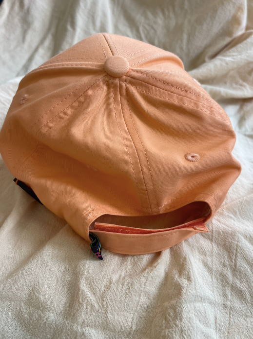 Gorra bordada a mano con cactus mexicanos – juliepots